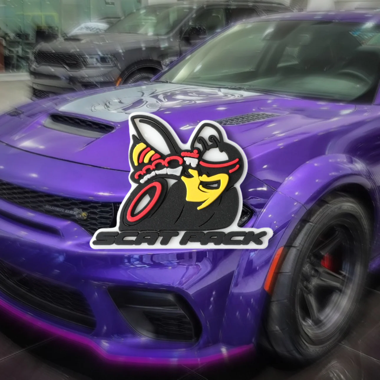 Thumbnail 8